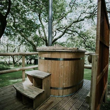 Apartament Oak Special Winter Offers - Hot Tub & Log Burner Barmouth Zewnętrze zdjęcie