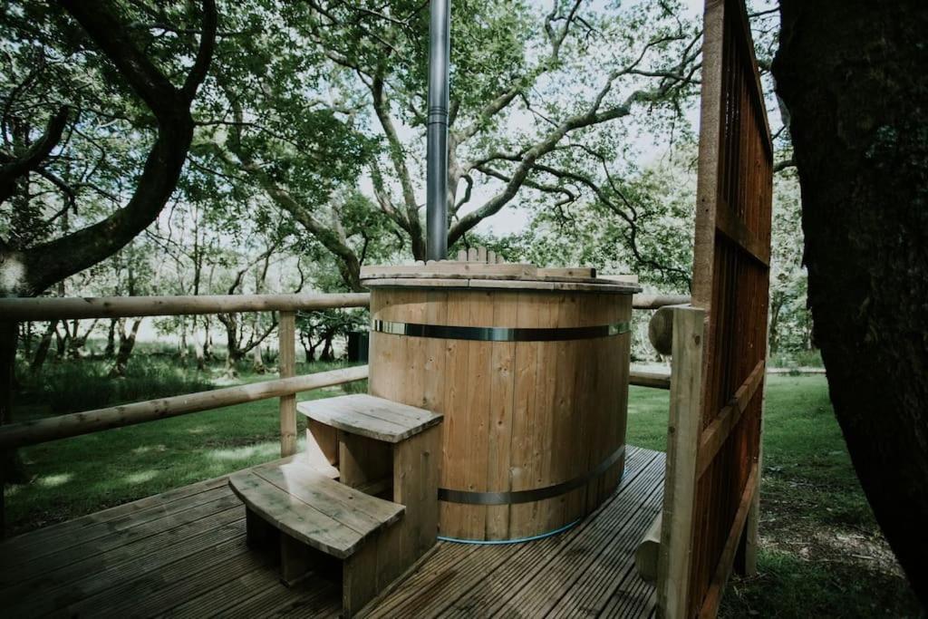 Apartament Oak Special Winter Offers - Hot Tub & Log Burner Barmouth Zewnętrze zdjęcie